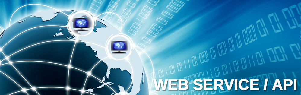 Web Service / API